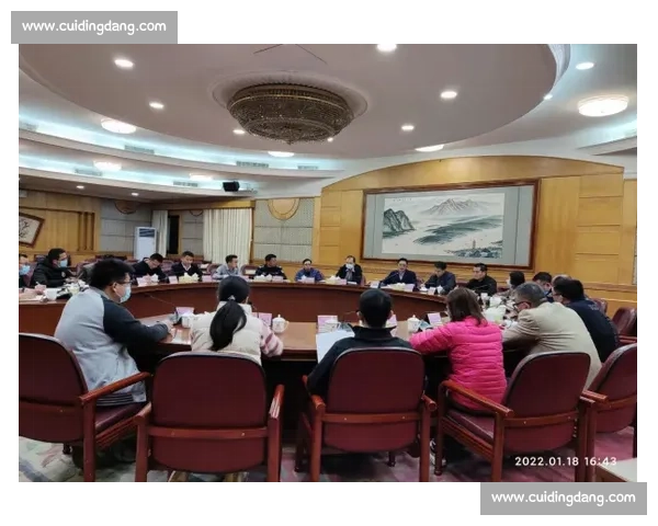 以风险规避为核心推动稳健发展与长效治理新路径研究体系建设探索 以风险规避为核心推动稳健发展与长效治理新路径研究体系建设探索