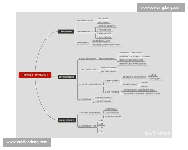 《全面攻略分享：如何高效提升工作效率与个人成长的实用技巧》