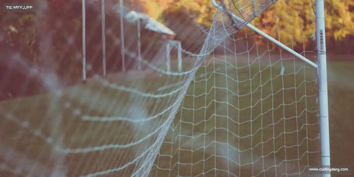 行业领先的理由